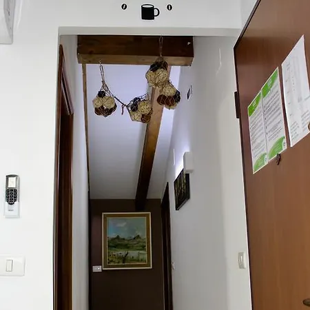 Apartament Castellano